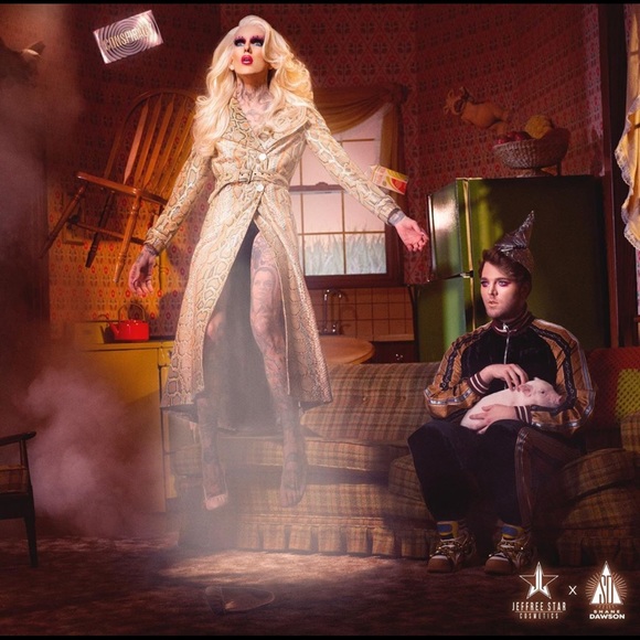 🐷JSC x SD The Conspiracy Palette BNIB🐷 - Picture 6 of 8